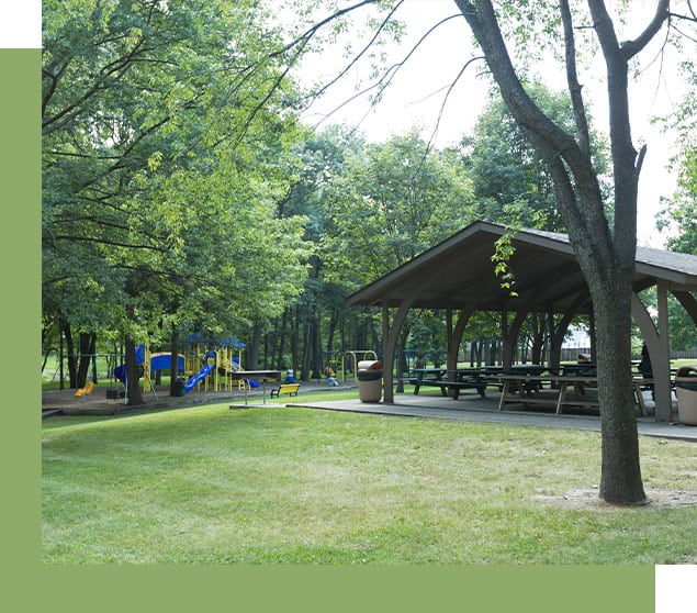 Lion Park with trees and building